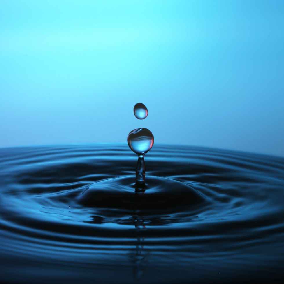 closeup photo of water drop