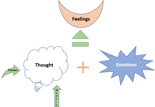 Thoughts, emotions and feelings: The Association