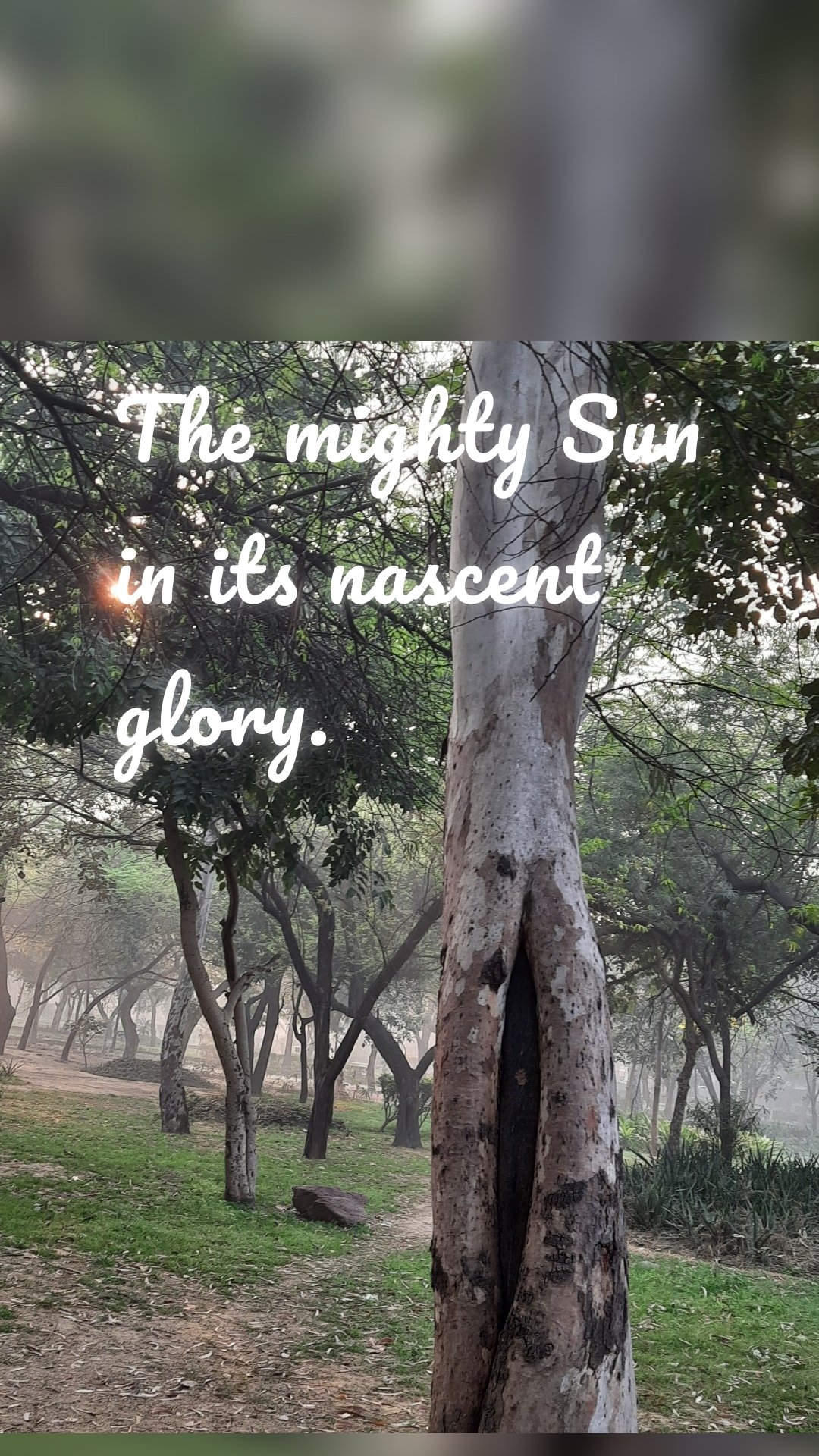 The mighty Sun in its nascent glory. 