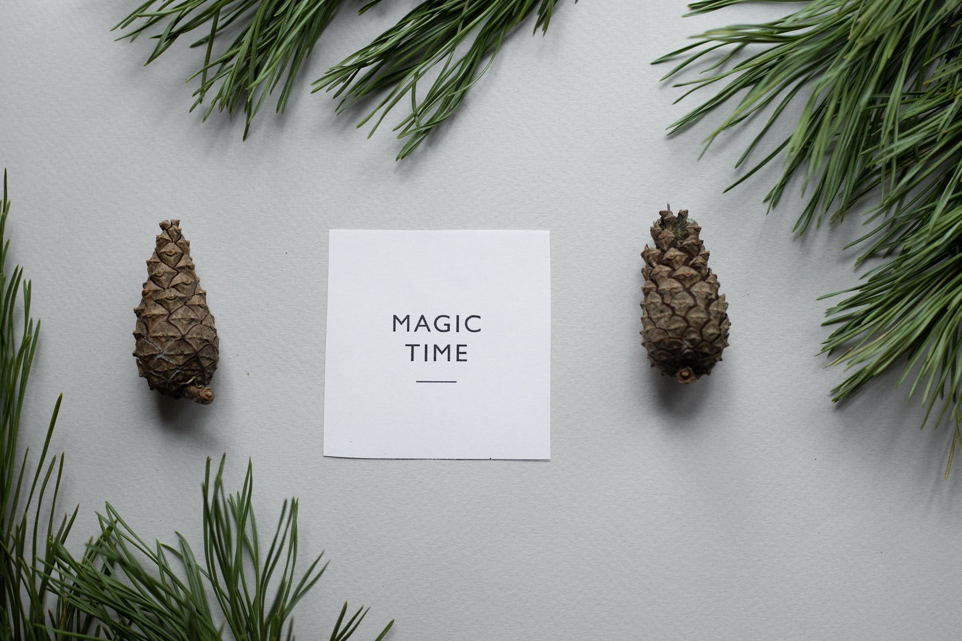 composition of pine cones with greeting card